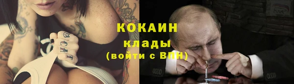 ГАЛЛЮЦИНОГЕННЫЕ ГРИБЫ Арсеньев