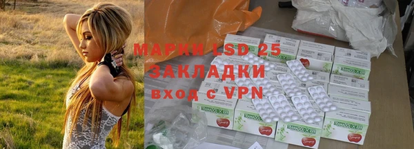 ГАЛЛЮЦИНОГЕННЫЕ ГРИБЫ Арсеньев