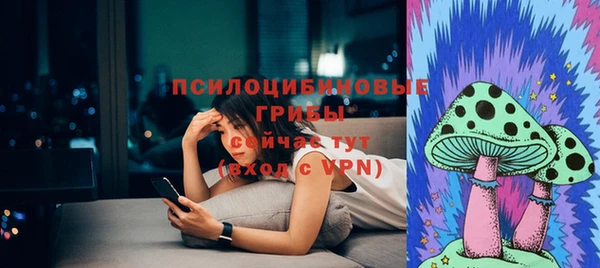 ГАЛЛЮЦИНОГЕННЫЕ ГРИБЫ Арсеньев