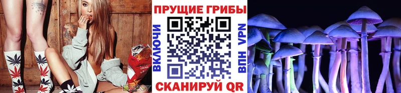 Псилоцибиновые грибы MAGIC MUSHROOMS  Семёнов 